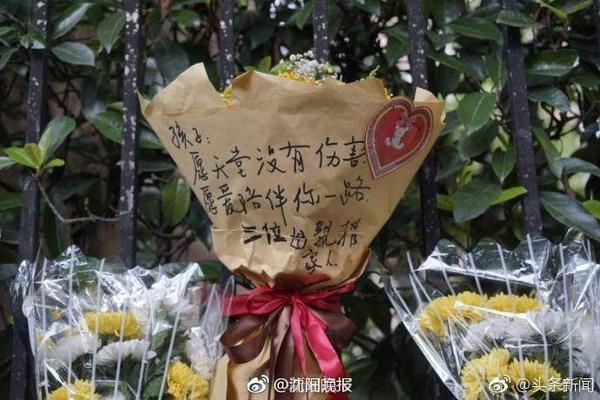 欧文：KD是历史最佳之一 我们的7